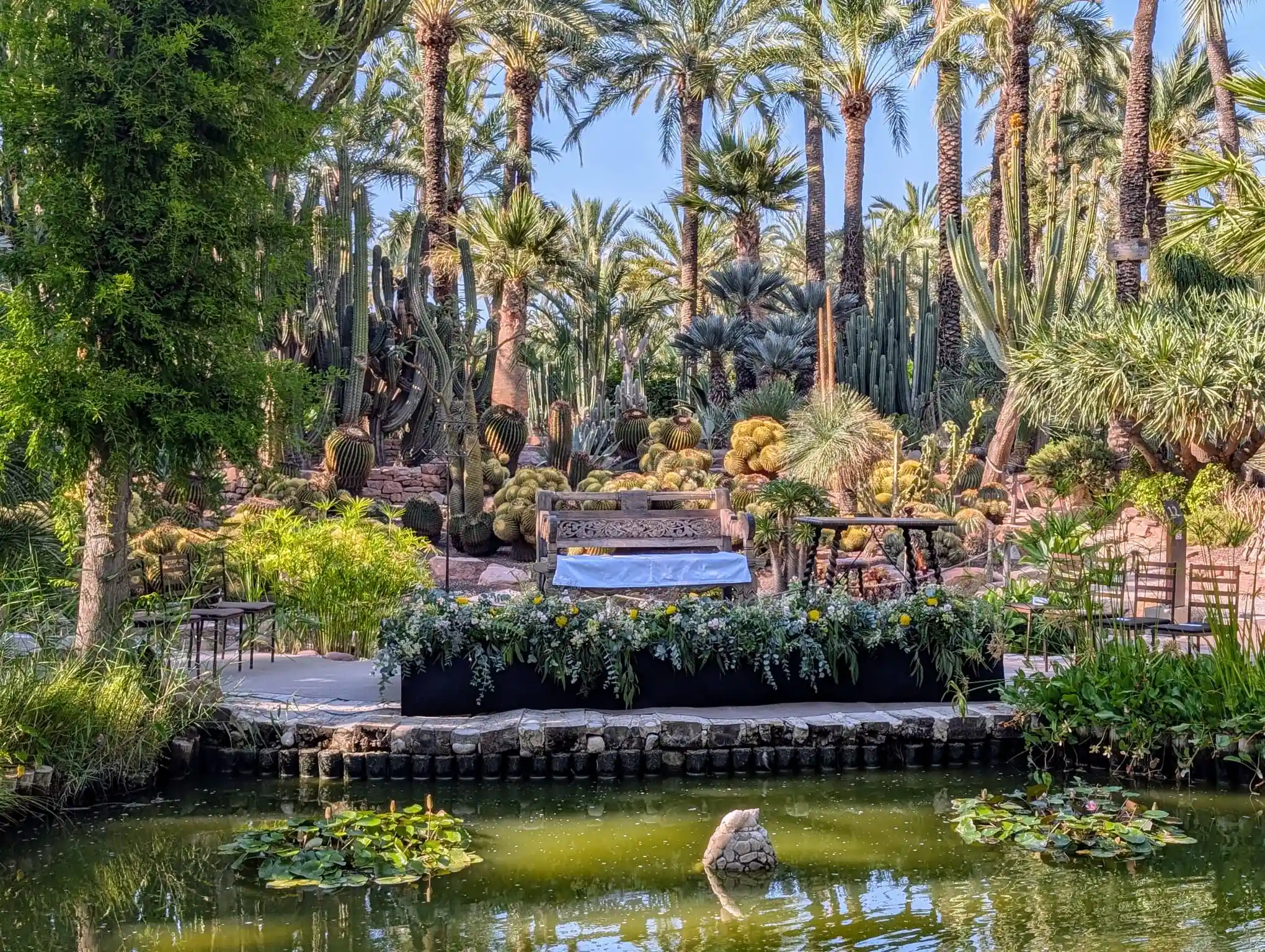 Foto realizada en jardín botánico huerto del cura